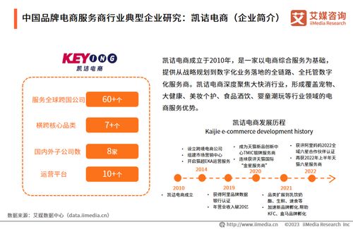 2023年中國品牌電商服務(wù)商行業(yè)研究報告 洞察趨勢，賦能增長